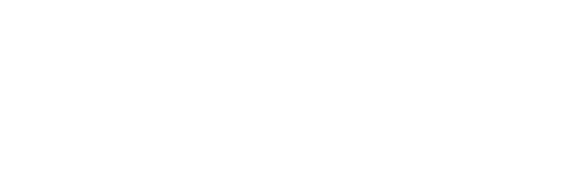 LICian Community
